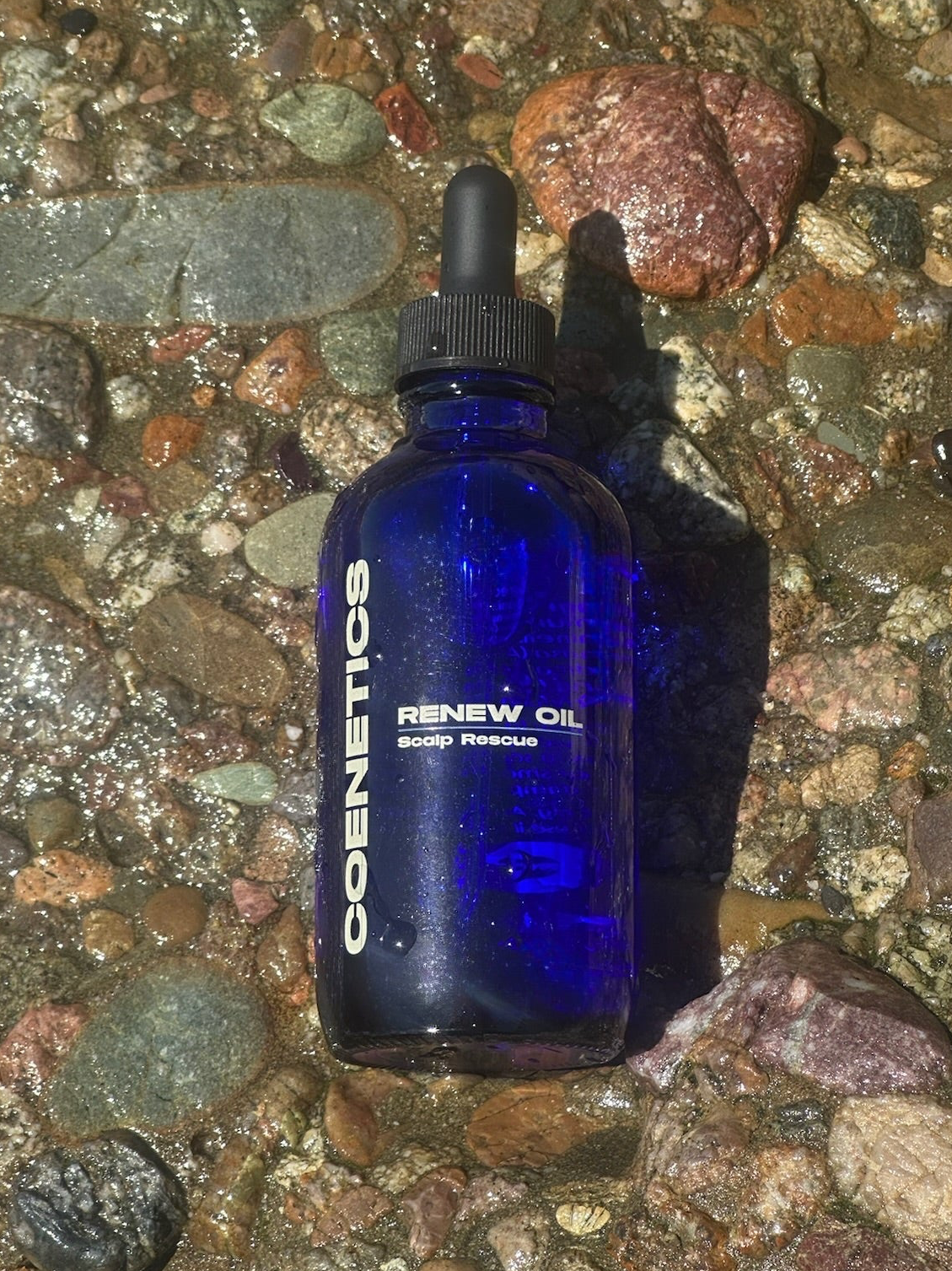 RENEW OIL
